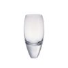 Sake Glass Awa