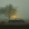 The Misty Porsche is parked on a foggy road next to a leafless tree. The misty atmosphere is illuminated by a soft, warm light at the horizon, creating an ethereal and serene scene.